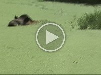 Untitled Clip 01 24
